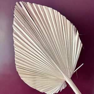 Palm Spear, Natural, Dried, Extra Large, 90cm