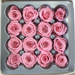 Roses, Pastel Pink, Preserved, x16 blooms, 2cm (Verdissimo®)