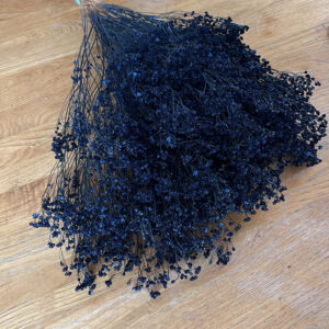 Broom Bloom, Dark Blue, Dried, 60cm