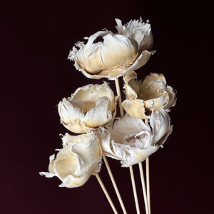 Palm Cups, Rustic Ivory, Dried, 50cm