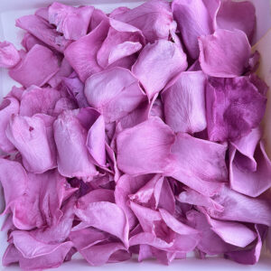 Rose Petals, Taro Purple, Preserved Confetti