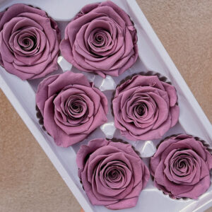 Roses, Dusky Rose, Preserved, x6 blooms, 6cm (Every Love®)