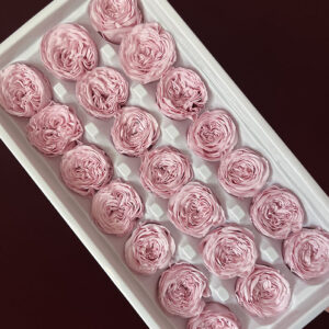 Peony Roses, Pale Pink, Preserved, x21 blooms, 3cm (Every Love®)