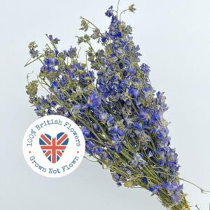 Larkspur, Natural Blue, Dried (Delphinium) 25-30cm BRITISH FLOWERS