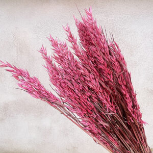 Dried Oats Deep Pink