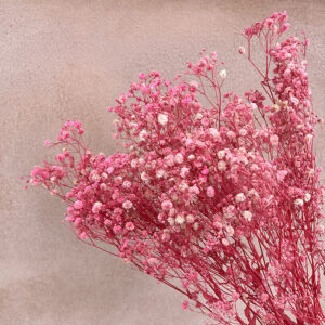 Gypsophila, Pink Shades, Preserved (Baby’s Breath) 70cm