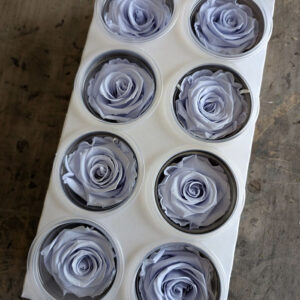 Roses, Bluebell Lilac, Preserved, x8 blooms, 5cm (Kiara®)