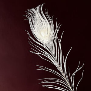 Peacock Feathers, White, 70cm