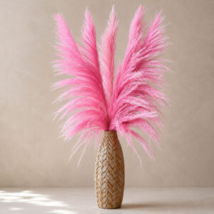Pampas Grass Sacuara, Light Pink Shades, Dried, 115cm Plume 90cm