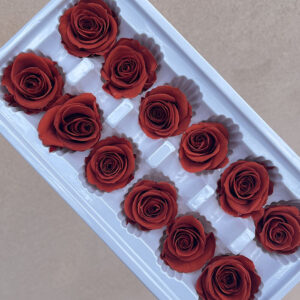 Roses, Vermillion, Burnt Orange, Preserved, x12 blooms, 4cm (Every Love®)