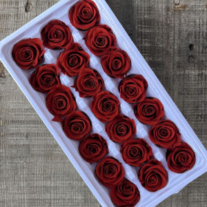 Roses, Vermillion, Burnt Orange, x21 blooms, 3cm (Every Love®)