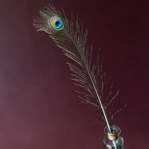 Peacock Feathers, Natural, 75cm