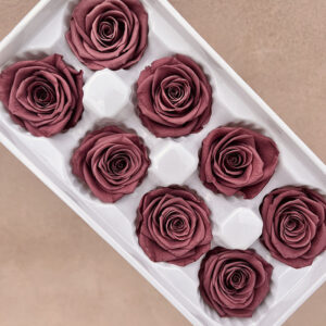 Roses, Dusky Pink Brown, Preserved, x8 blooms, 5cm (Every Love®)