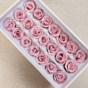 Roses, Cherry Blossom, Preserved, x21 blooms, 3cm (Every Love®)