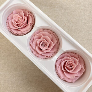 Roses, Cherry Blossom Pink, Preserved, x3 blooms, 7cm (Every Love®)