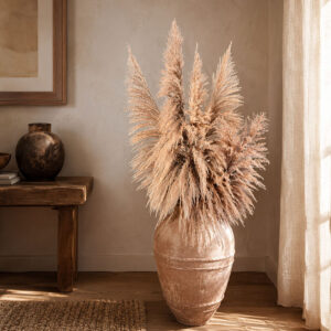 Pampas Grass Sacuara, Natural Light Brown, Dried, 115cm Plume 90cm