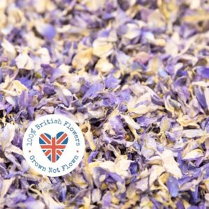 Confetti Natural Biodegradable Petals, Lilac Blue (Dried Larkspur) BRITISH FLOWERS