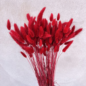 Lagurus Grass, Red, Dried (Bunny Tails) 60-70cm 100g