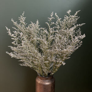 Limonium, Natural Misty White, Dried, 80cm