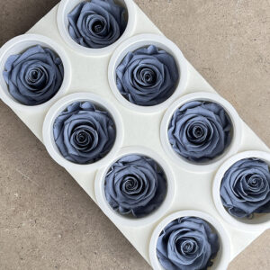 Roses, Dusty Blue, Preserved, x8 blooms, 5cm (Kiara®)