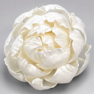 Sola Wood Flowers, Peony, White, 5cm