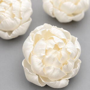 Sola Wood Flowers, Peony, White, 8cm