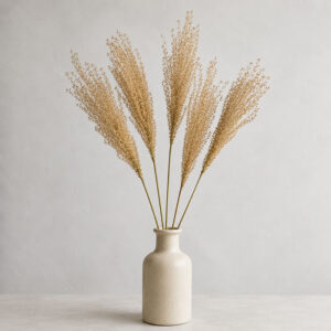 Miscanthus sinensis, Natural Beige Brown, Dried, 70cm