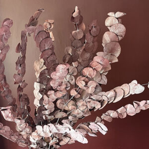 Eucalyptus, Dusky Burgundy, Preserved, 70cm