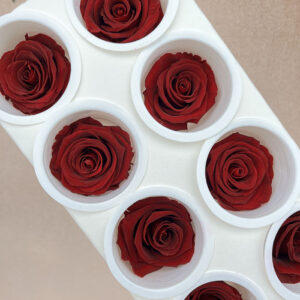 Roses, Royal Red, Preserved, x8 blooms, 5cm (Kiara®)