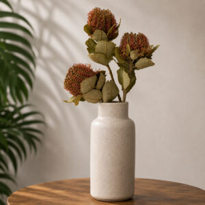 Banksia Coccinea, Natural Red, Dried, up to 40cm