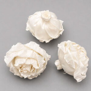 Sola Wood Flowers, Eden Roses, White, 8cm