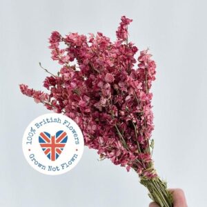 Larkspur, Natural Deep Pink, Dried (Delphinium) 25-30cm BRITISH FLOWERS