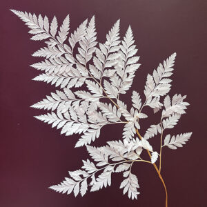 Leatherleaf Ferns, Blush Pink, Preserved, 40cm