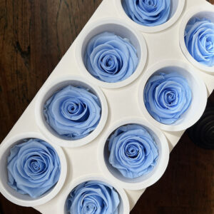 Roses, Baby Blue, Preserved, x8 blooms, 5cm (Kiara®)