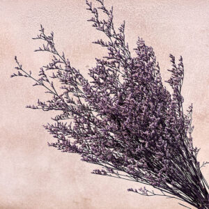 Limonium Caspia, Antique Purple, Preserved, 70cm