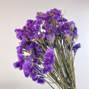 Statice Sinuata, Natural Cerise Purple, Dried, 70cm