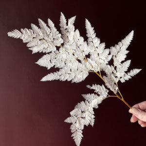Leatherleaf Ferns, Bleached White, Preserved, 45cm