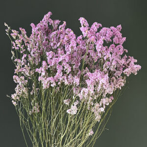 Limonium Diamond. Natural Pale Pink, Dried (Sea Lavender) 70cm