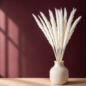 Mini Pampas, White, Dried (Tail Reed) 70cm