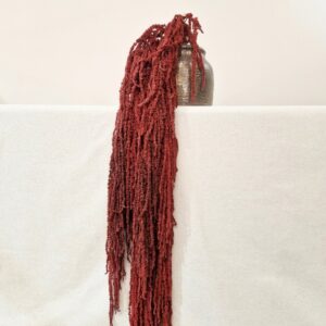 Amaranthus caudatus, Burgundy, Preserved (Cascading) up to 110cm