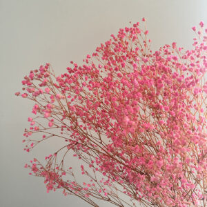 Gypsophila, Light Pink, Preserved (Baby’s Breath) 70cm