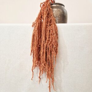 Amaranthus caudatus, Dusky Peach (Cascading) up to 110cm