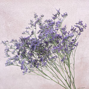 Limonium Sinensis, Natural Lavender Blue, Dried (Sea Lavender) 70cm