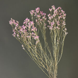 Limonium sinensis. Natural Pink, Dried (Sea Lavender) 70cm