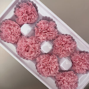 Carnations, Pale Pink, Preserved, x8 blooms, 5-6cm