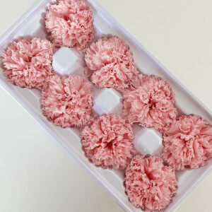 Carnations, Pale Pink, Preserved, x8 blooms, 5-6cm
