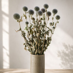 Echinops, Natural Blue, Dried (Globe Thistle) 65cm