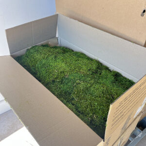 Flat Moss, Green, Preserved (Verdissimo®) 2.5kg BOX DEAL