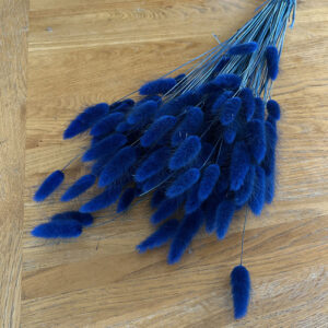 Lagurus Grass, Dark Blue, Dried (Bunny Tails) 50-70cm 100g