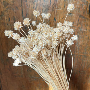 Hill Flower, Light Brown, Dried, 100g 45-60cm